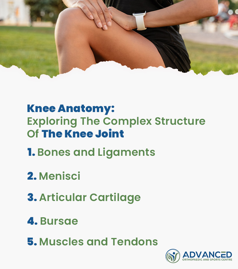Knee Anatomy Exploring The Complex Structure Of The Knee Joint