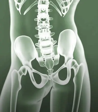 Conditions-Image-hip-green
