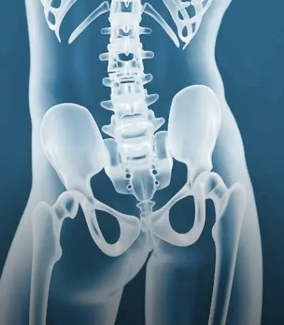 Conditions-Image-hip
